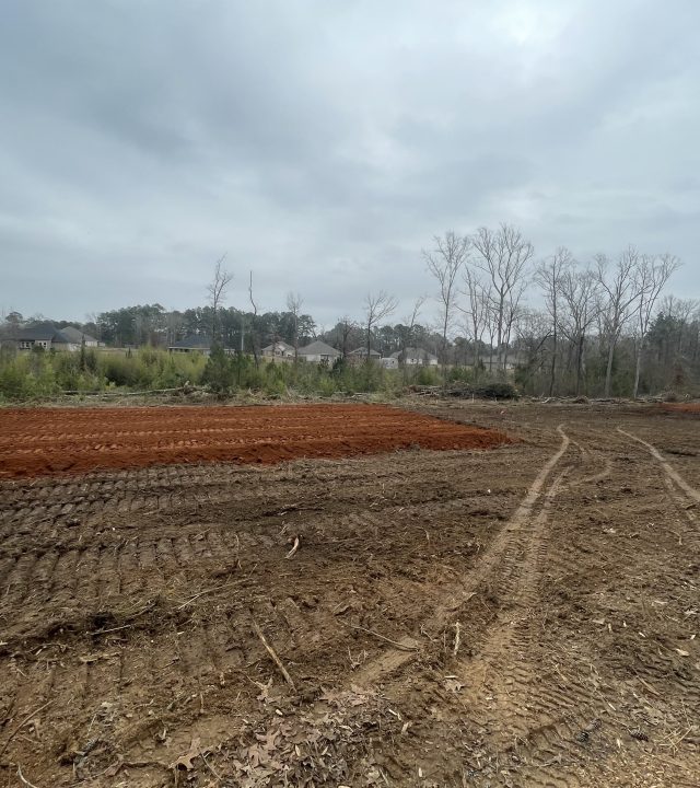 Land Dev